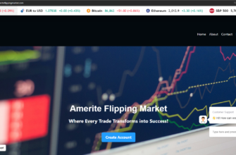 Amerite Flipping Market