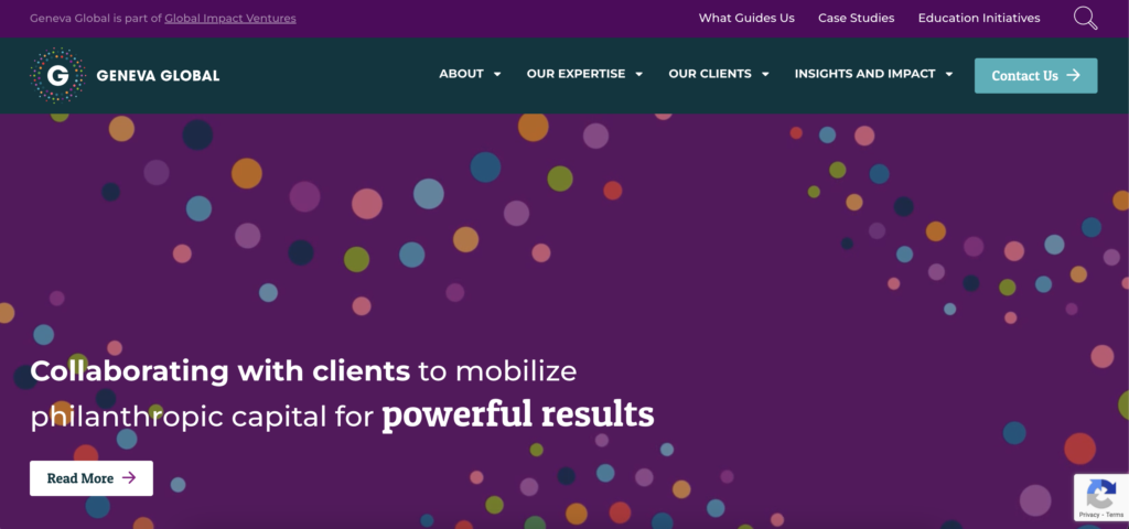 Geneva Global - Website