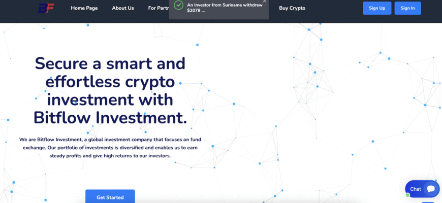 An Honest Review of the Bitflow Investment