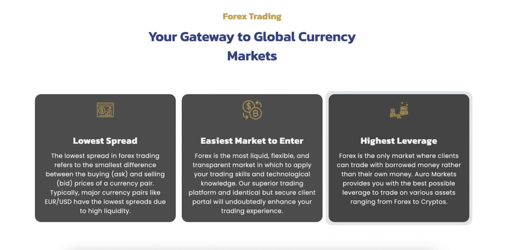 A Comprehensive Review of Auro Markets: A Tale for Traders