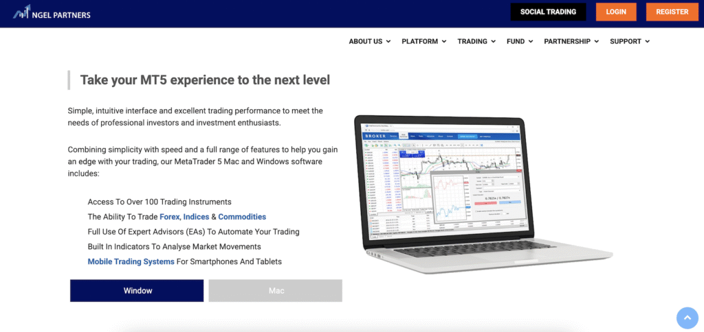 Ngel Partners: A Critical Review of Their Services
