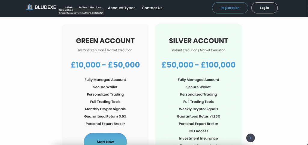 Indice Bludexe: A Closer Look at a Risky Newcomer