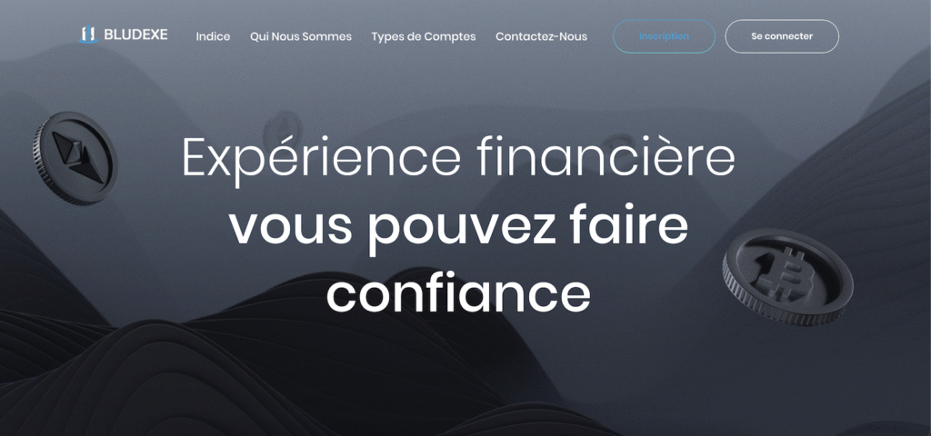 Indice Bludexe - Website