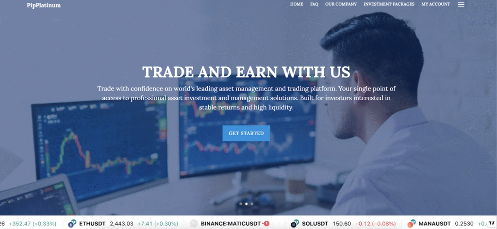 Pipplatinum - Website
