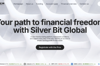 An Honest Review of the Silver Bit Global