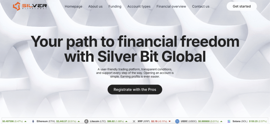 An Honest Review of the Silver Bit Global