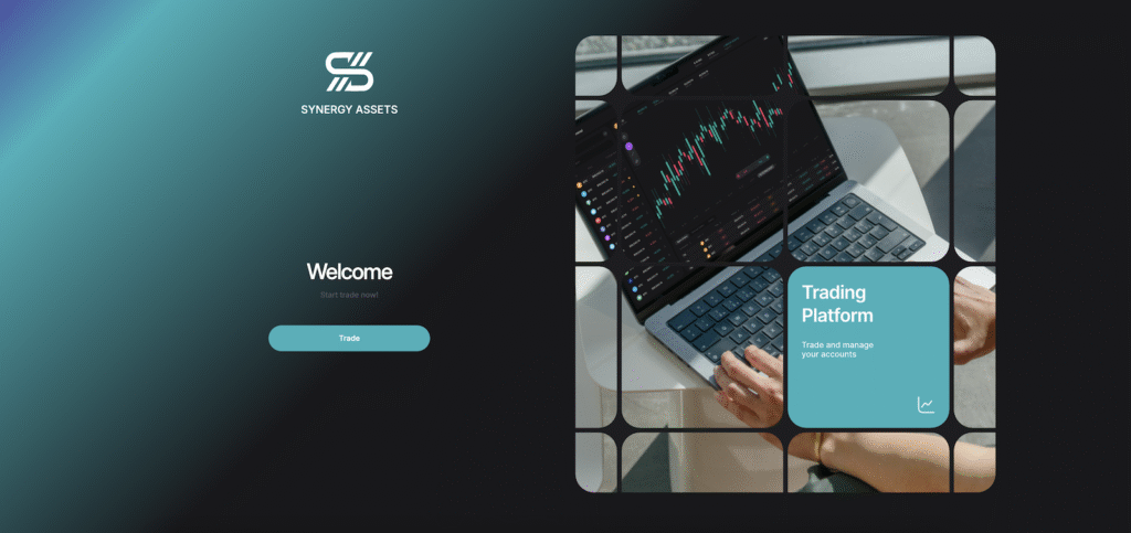 Synergy Assets - Website