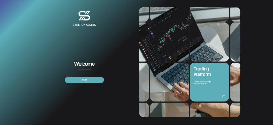 An Honest Review of the Synergy Assets