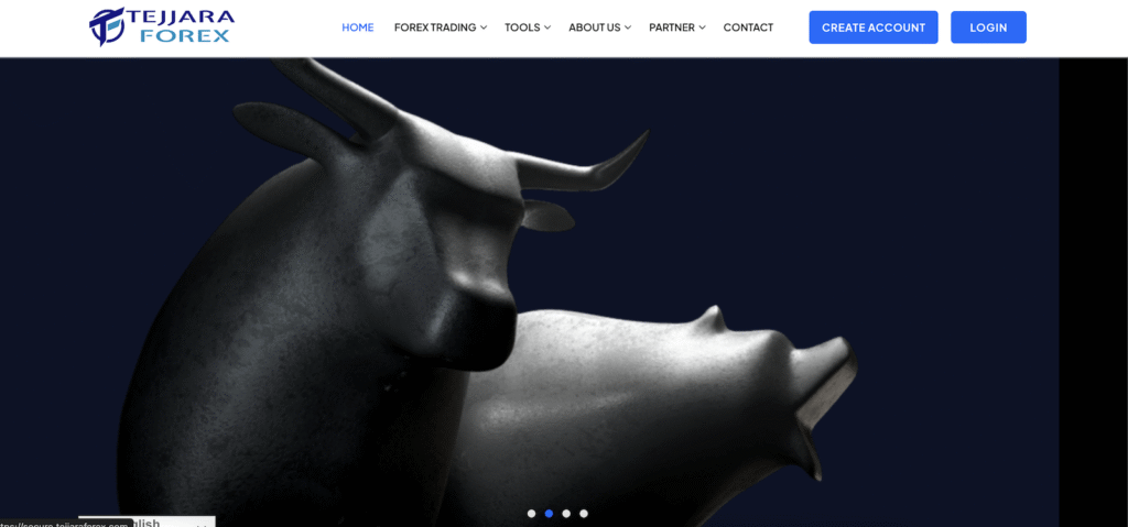 Tejjara Forex Ltd - Website