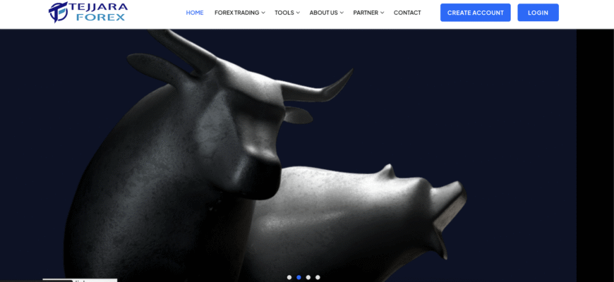 An Honest Review of the Tejjara Forex Ltd