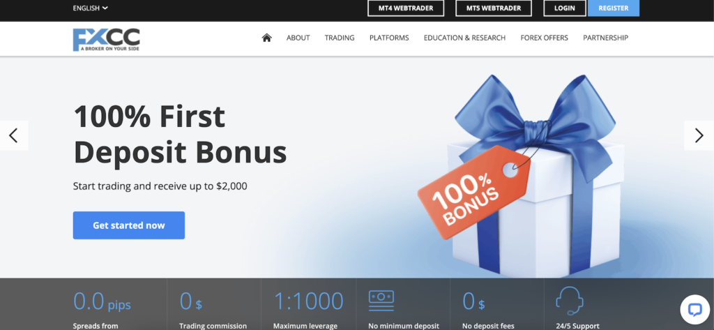STP Forex Broker Review and Practical Guide for Traders